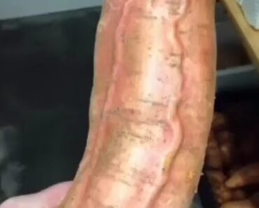 17 Photos That Want You to Make a Double Take